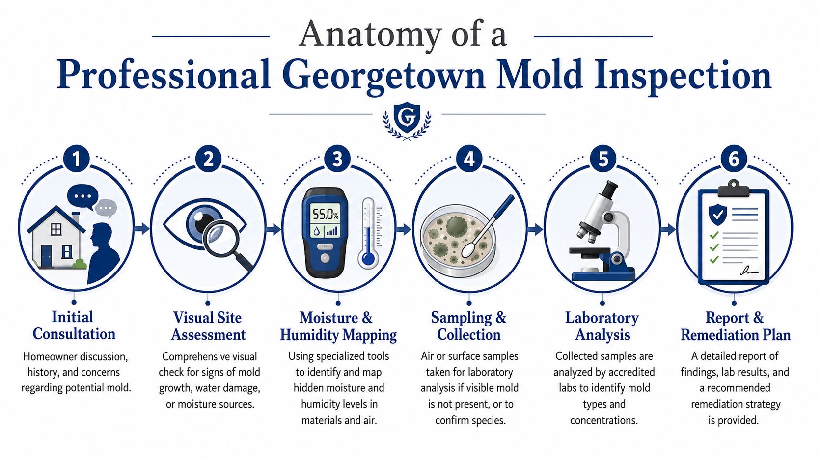 A six-step infographic illustrating the professional mold inspection process in Georgetown from consultation to final remediation plan.