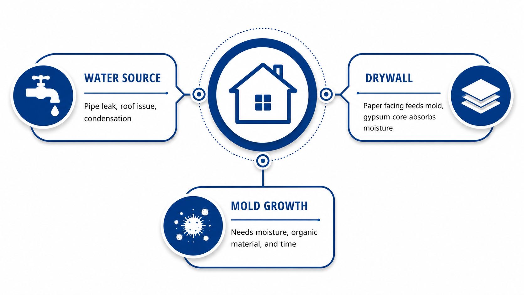 A diagram illustrating how water sources and drywall contribute to the development of mold growth inside homes.