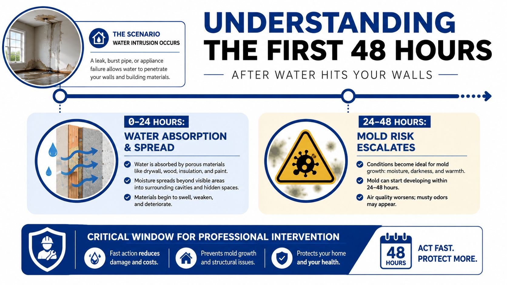 An infographic showing the 48-hour timeline for water damage, absorption, and mold growth in home walls.
