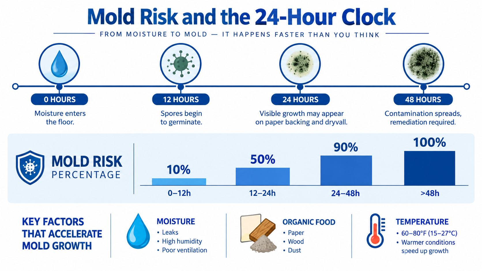 A timeline graphic showing the stages of mold growth after water damage occurs over 48 hours.
