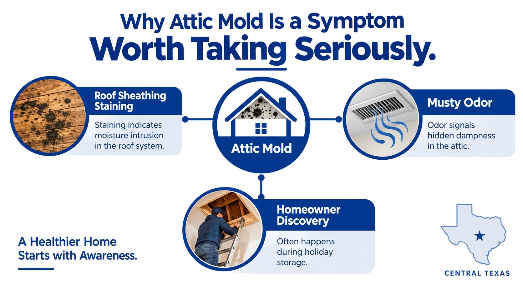 An infographic detailing common signs and causes of attic mold, including roof staining and musty odors.