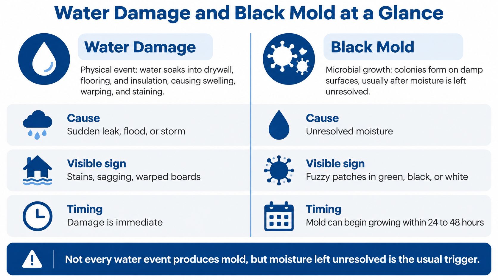 A comparison infographic showing the differences between water damage and black mold in a household.